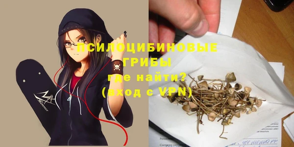 эйфоретик Белоозёрский