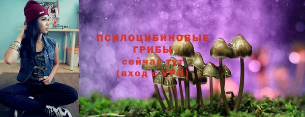 эйфоретик Белоозёрский